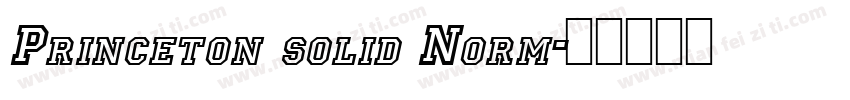 Princeton solid Norm字体转换
